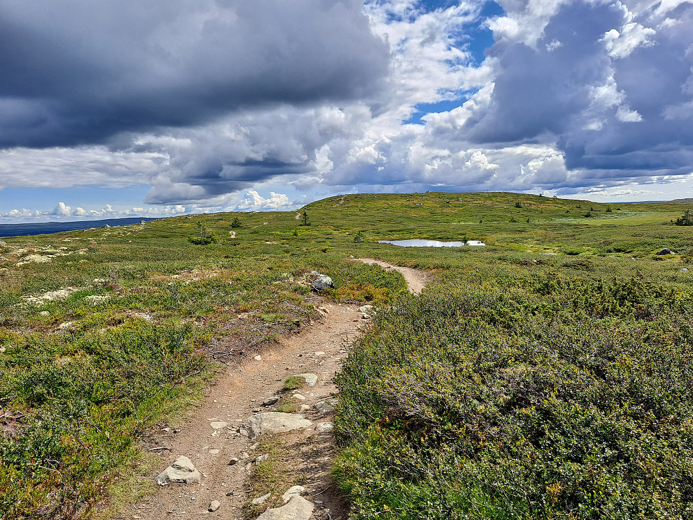 Hitfjellet i sikte
