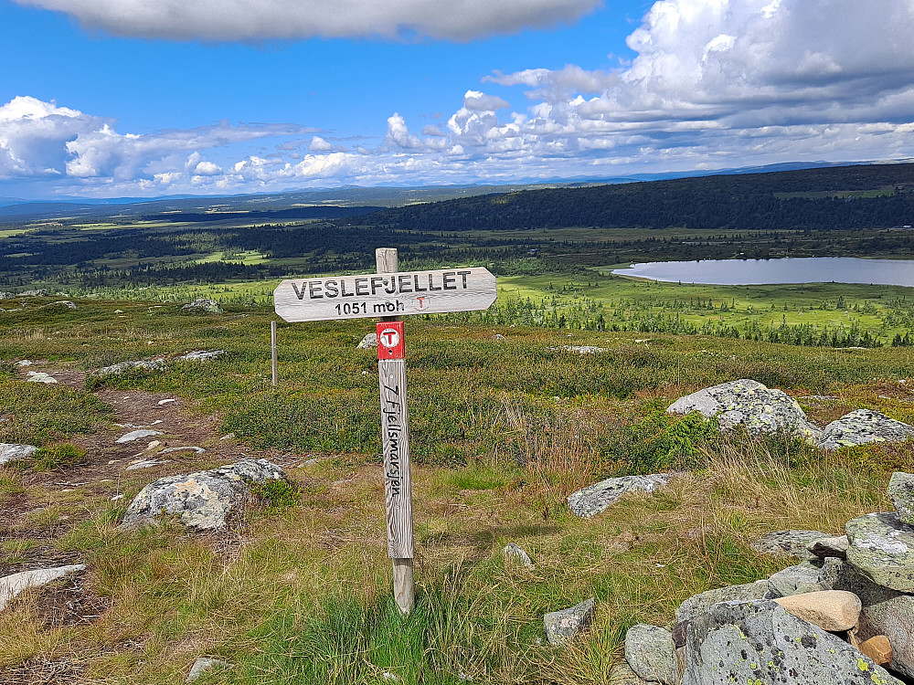 På Veslefjellet