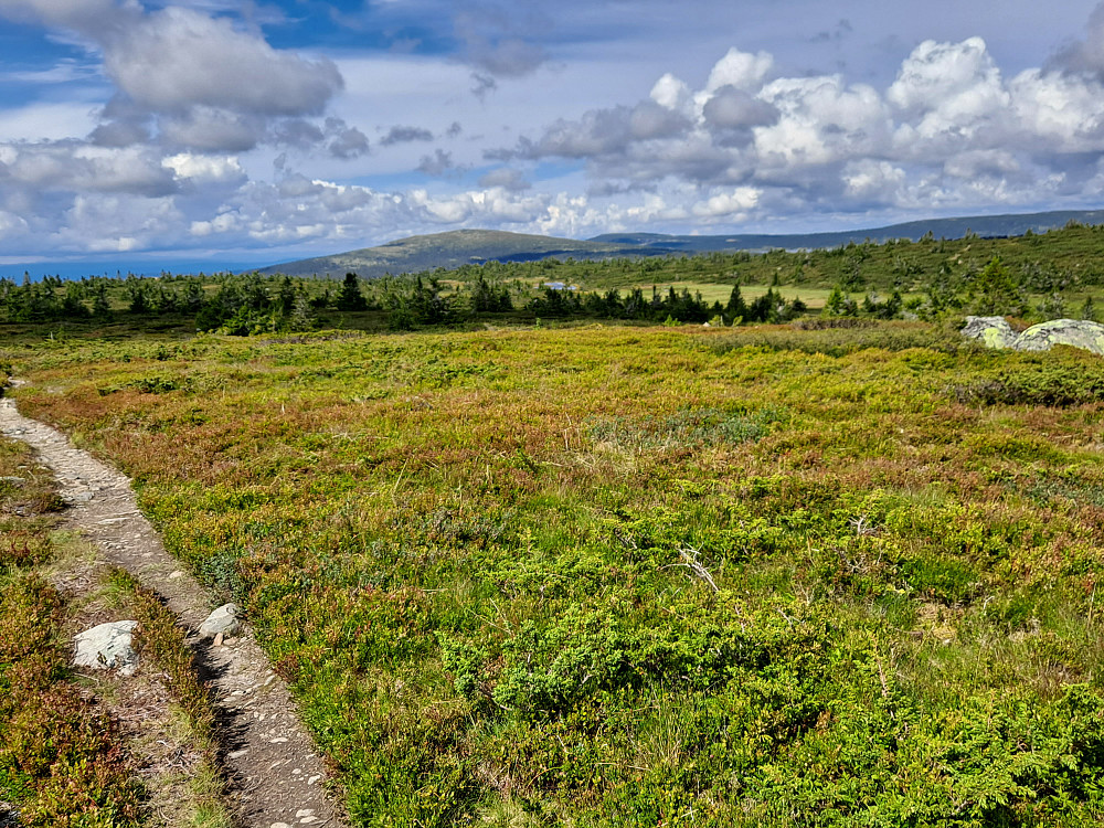 På Lunkefjell vest