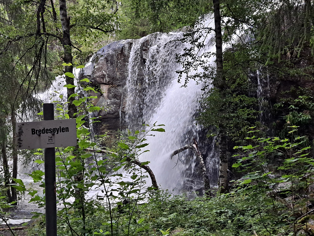 Mesnaelva