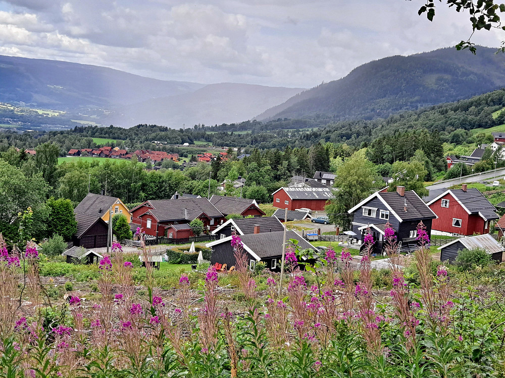 Ved Skårsetsaga