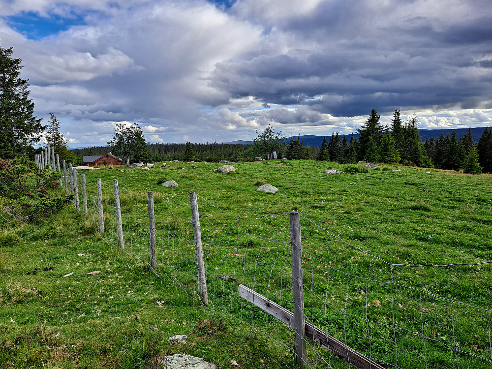 På Rinnåsen