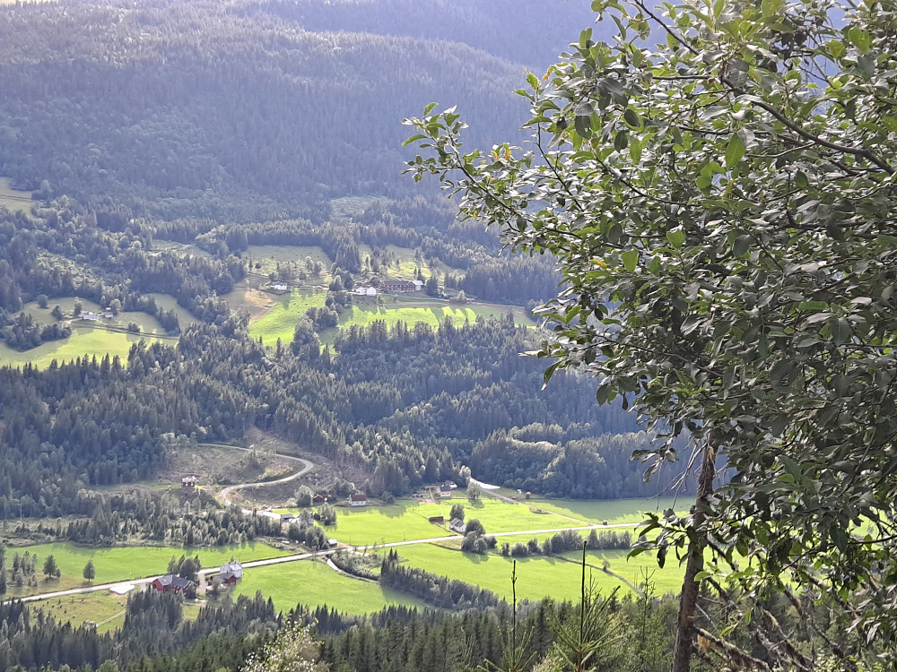 Nygaard sett fra krysset Rinnåsen/Slette