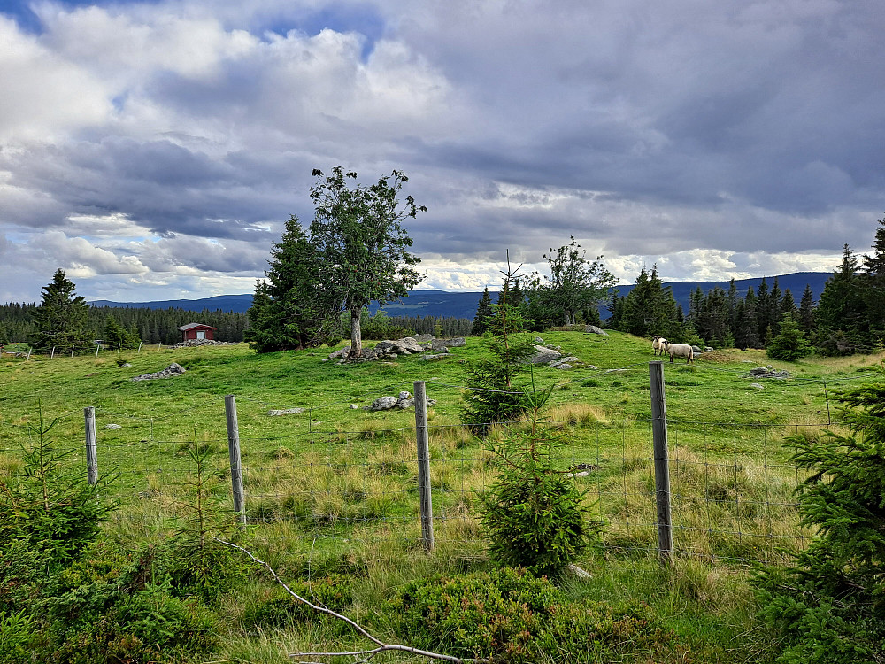På Rinnåsen