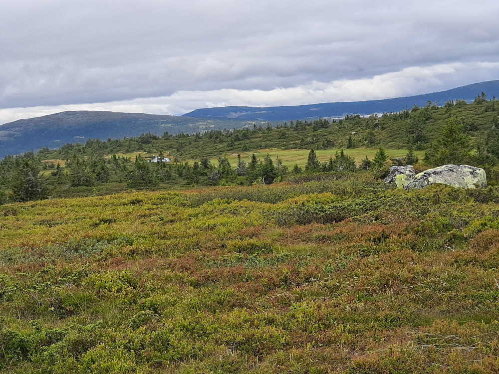 På Lunkefjell vest