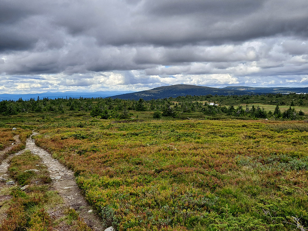 På Lunkefjell vest