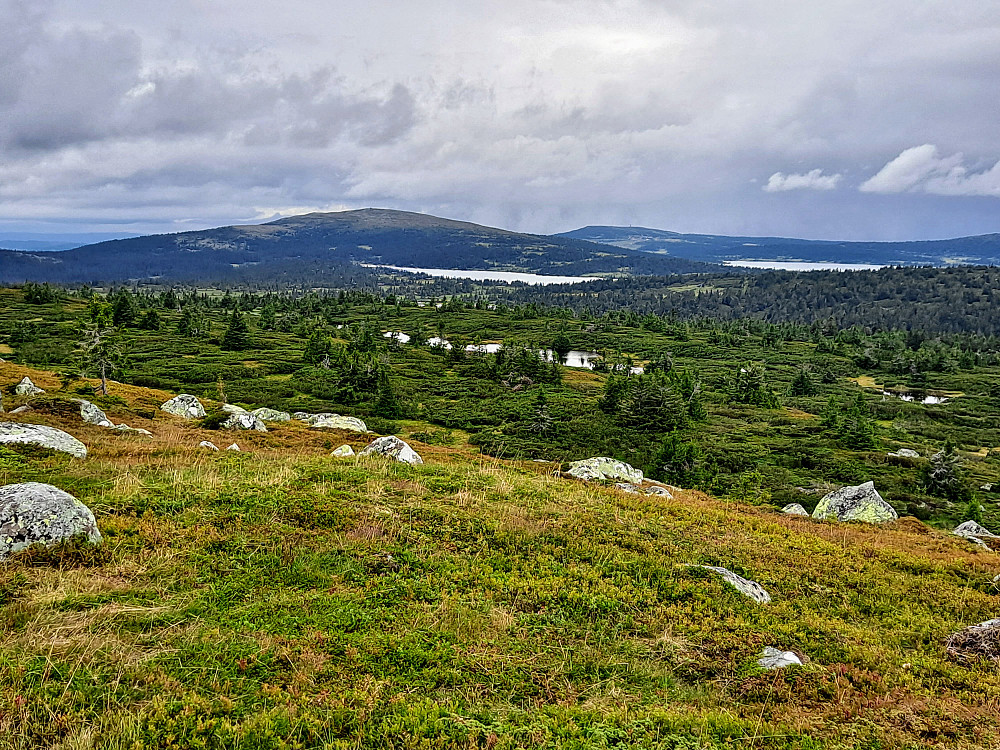 På Høgfjellet