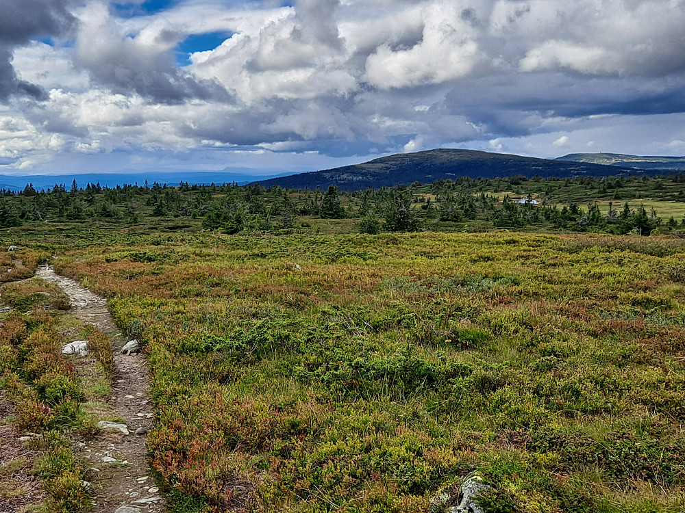 På Lunkefjell vest