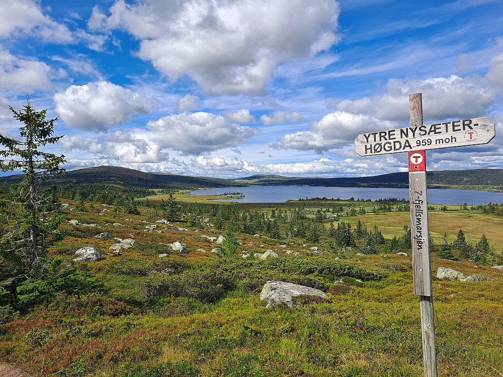 På Ytre Nysæterhøgda