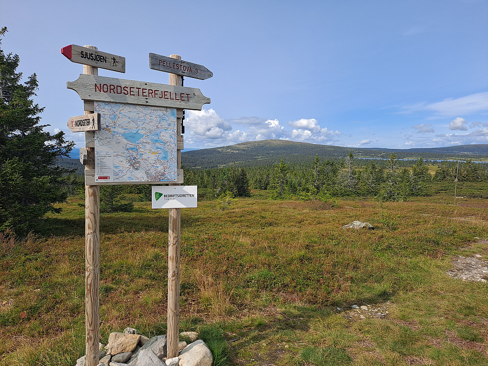 Ved sti- og løypekrysset Nordseterfjellet