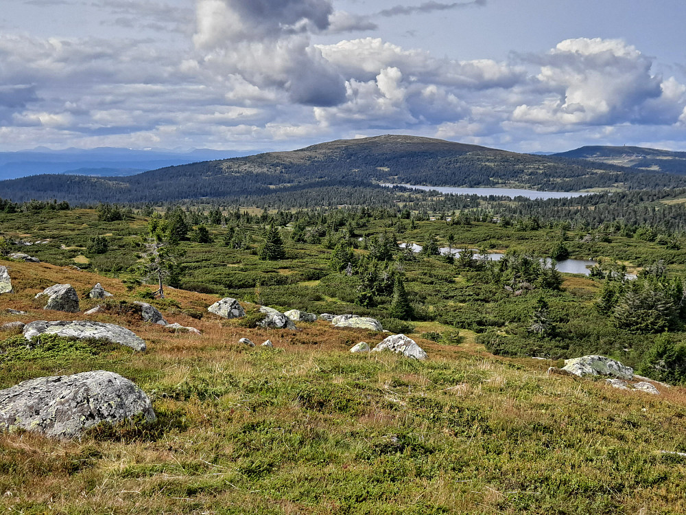 På Høgfjellet