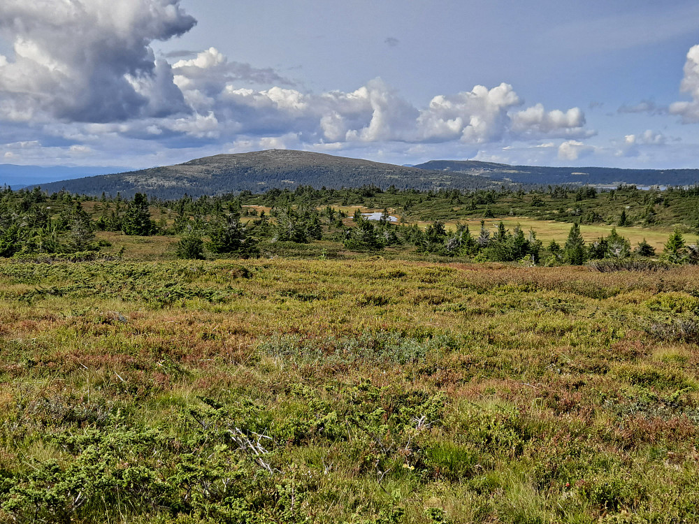 På Lunkefjell vest