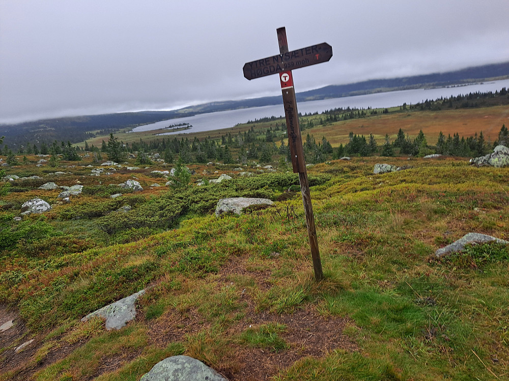 Grått på Ytre Nysæterhøgda