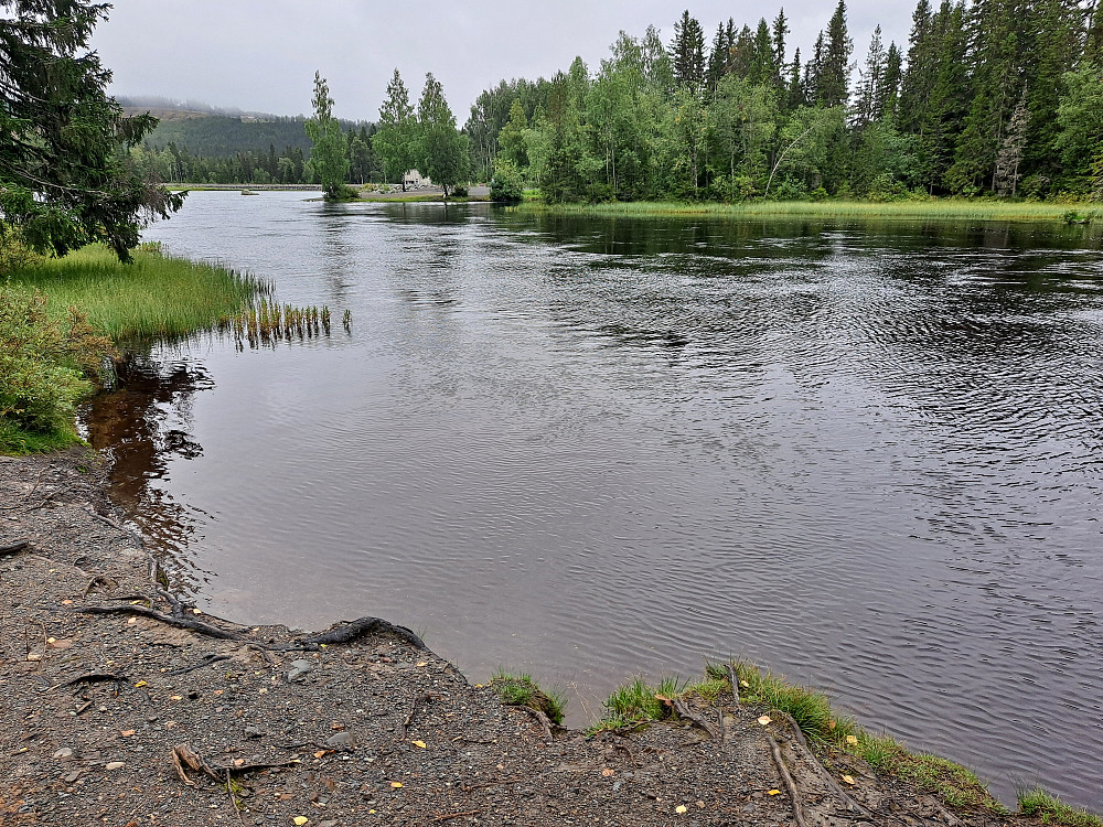 Ved Krokbua