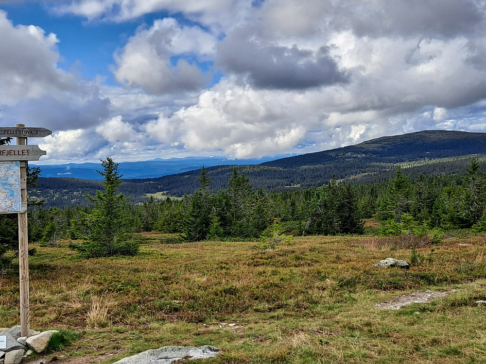 Ved sti-og løypekrysset Nordseterfjellet