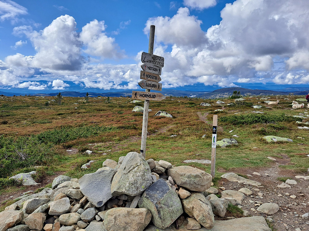 På Lunkefjell