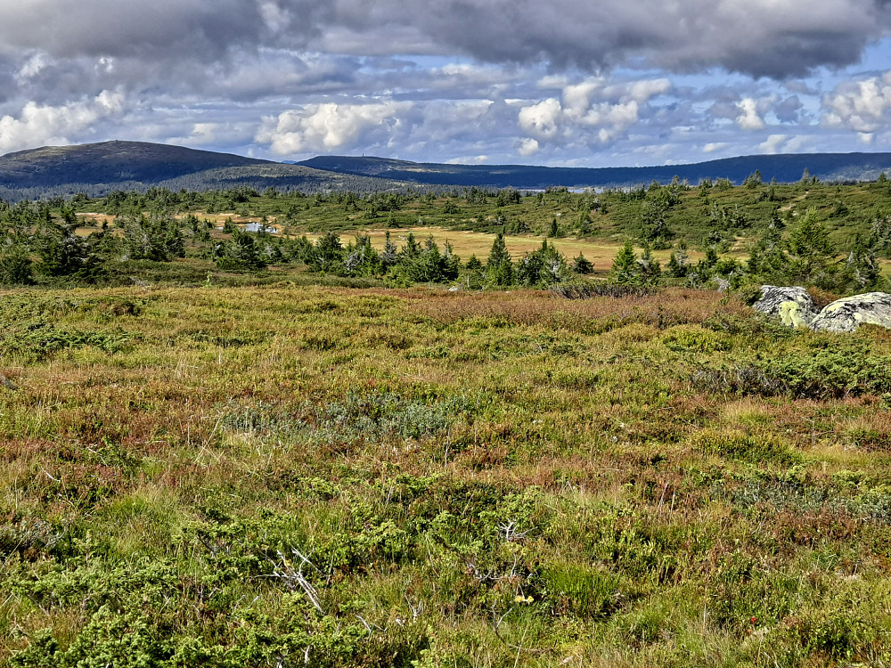 På Lunkefjell vest