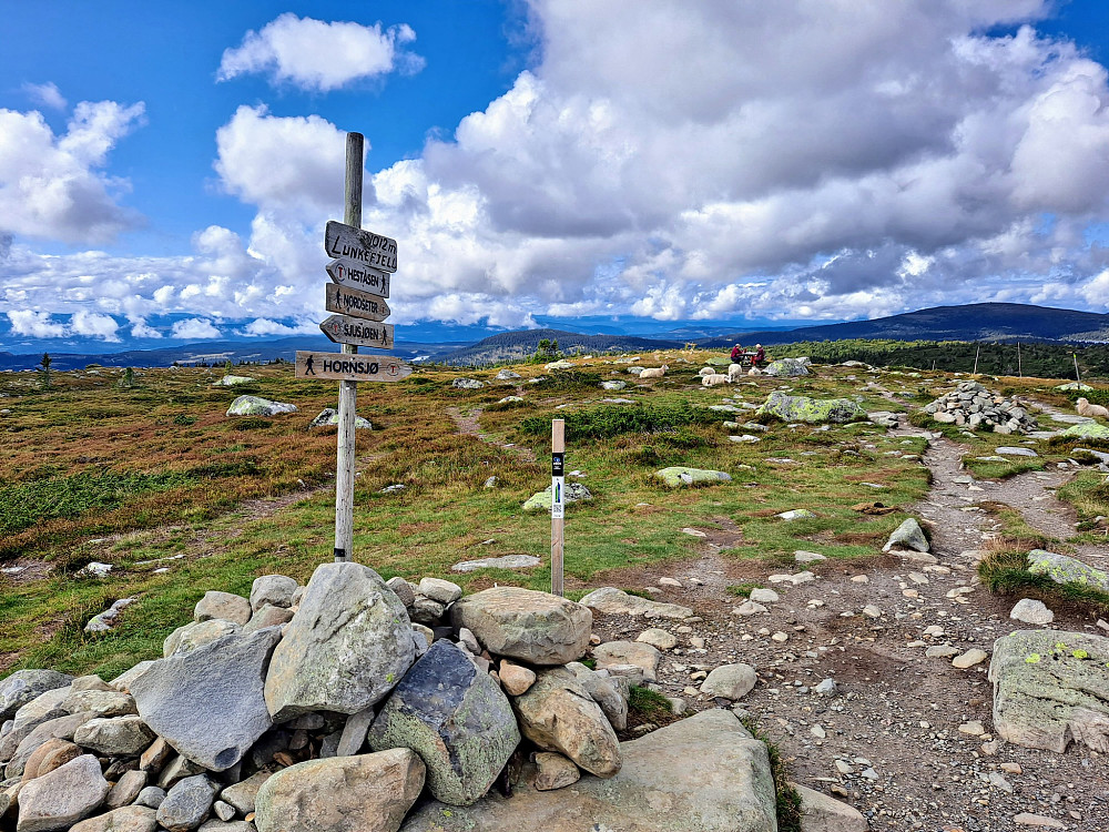 På Lunkefjell