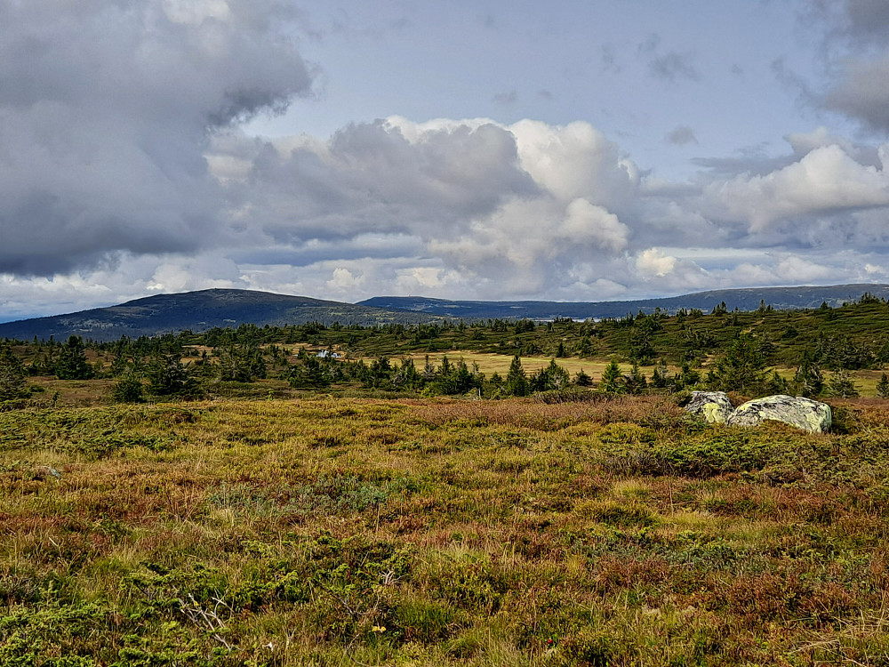 På Lunkefjell vest