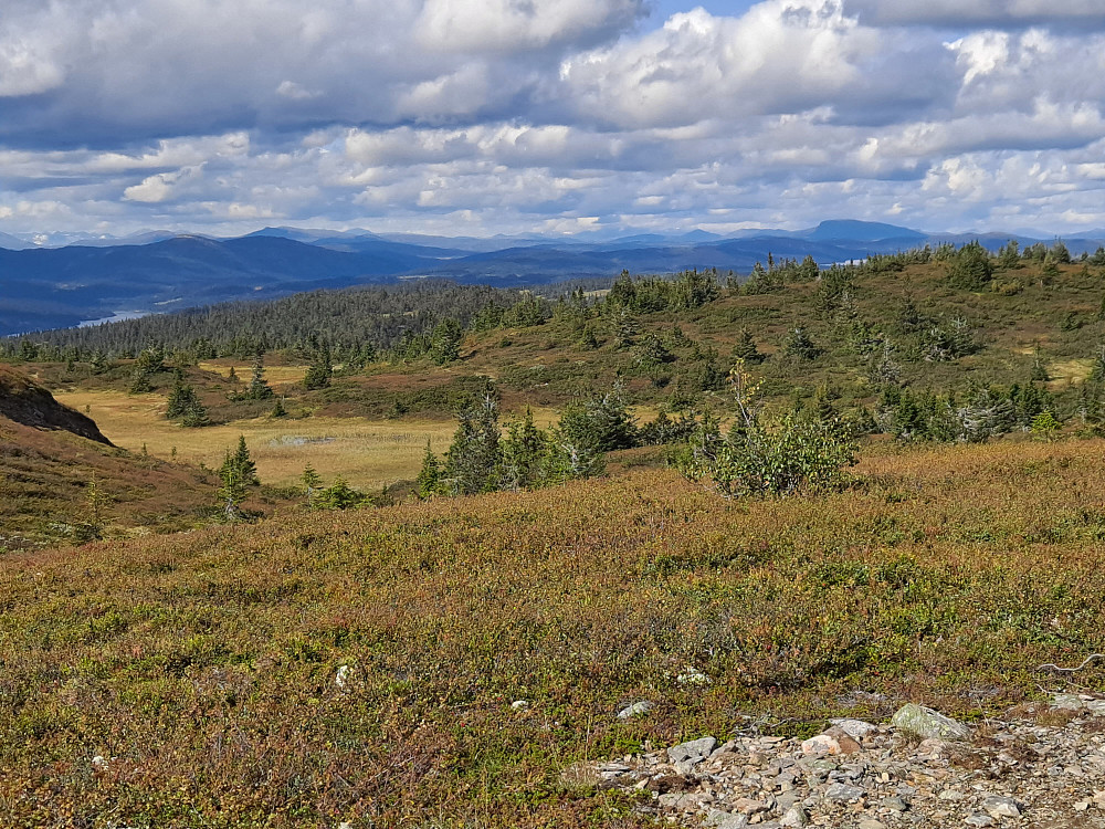 PåCondruphaugen