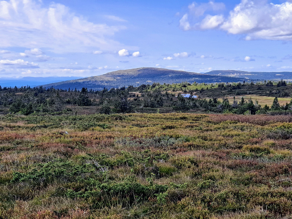 På Lunkefjell vestq