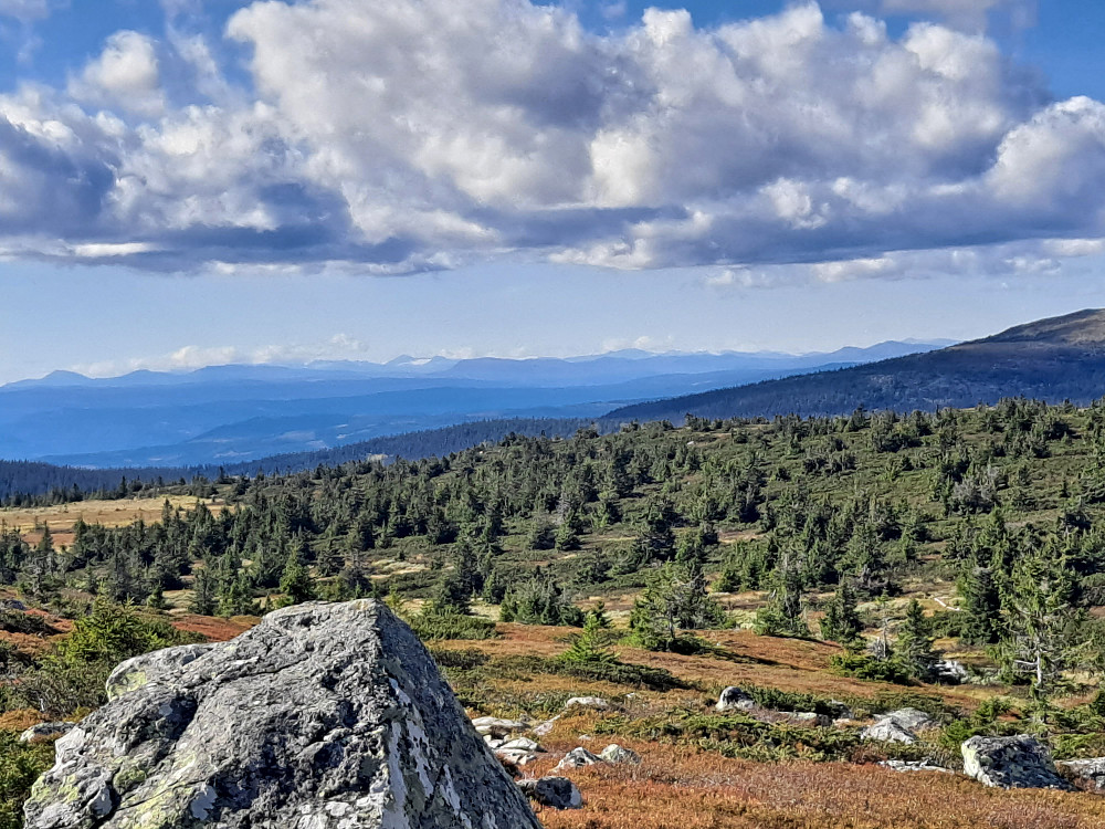 Ned fra Lunkefjell