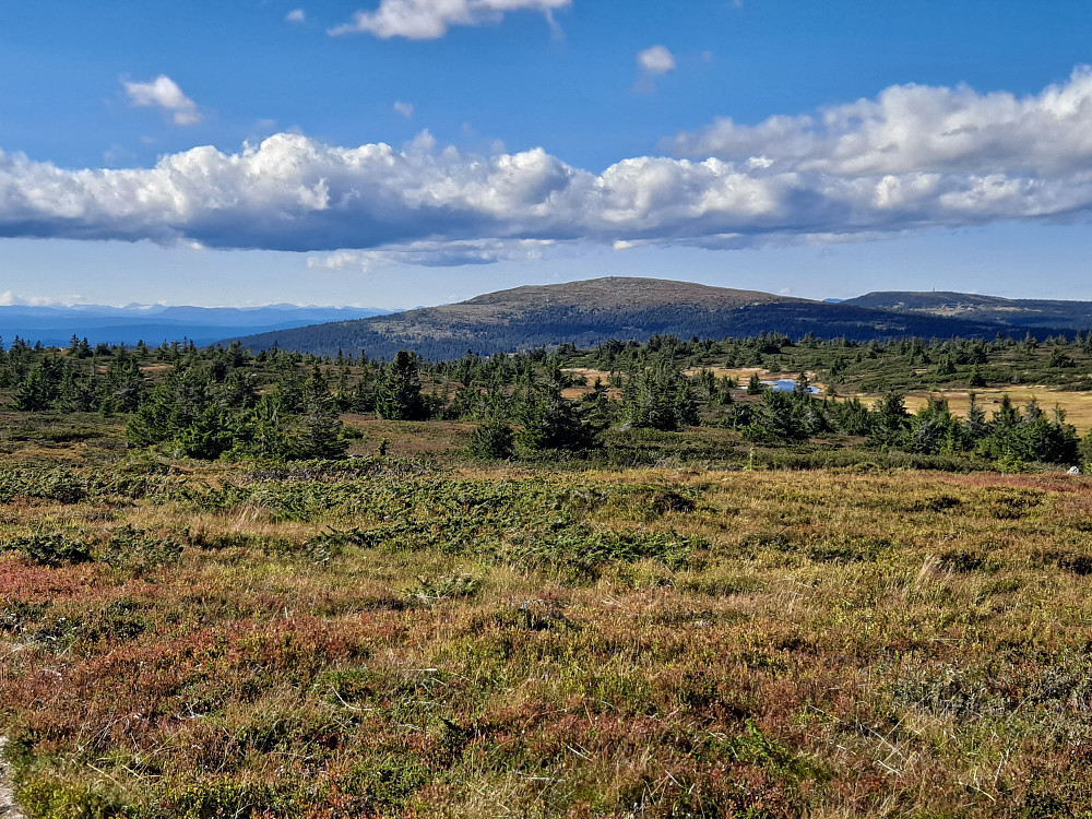 På Lunkefjell vest