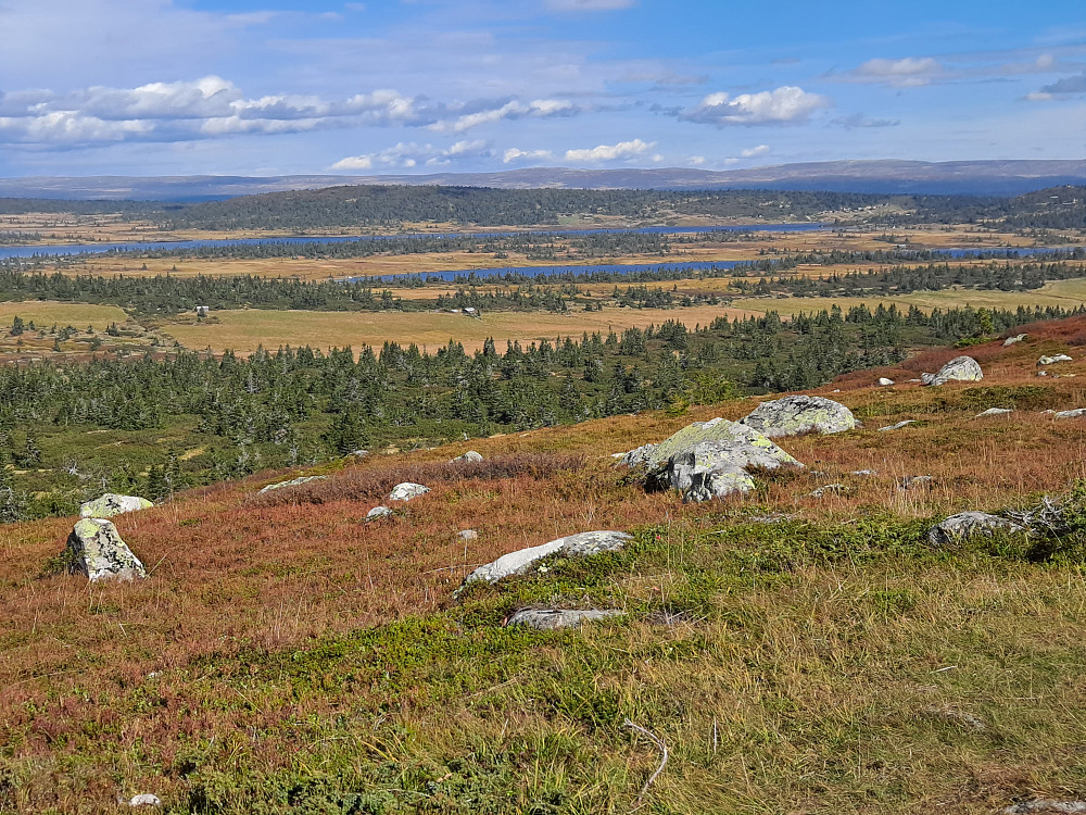 På Høgfjellet