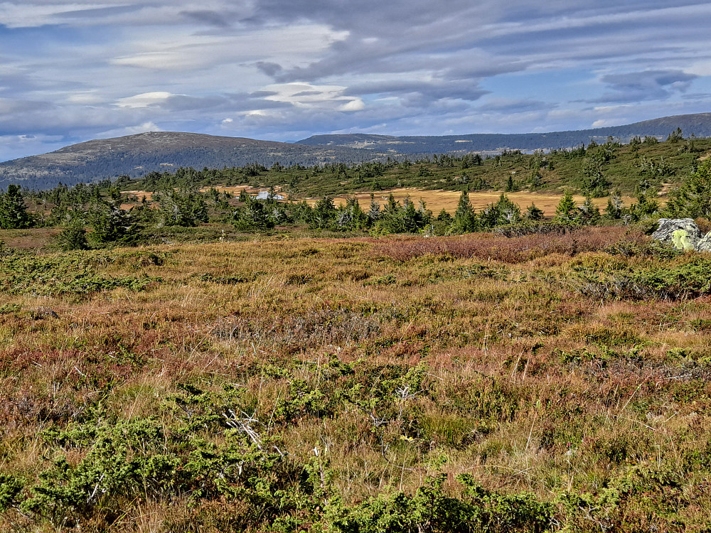 På Lunkefjell vest