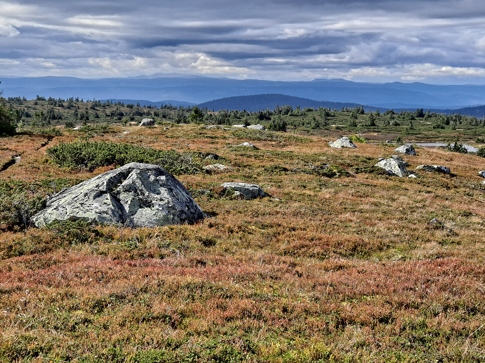 På Høgfjellet