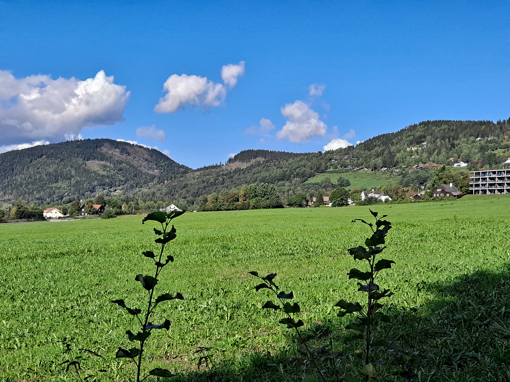 Over Randgårdsjordet mot Balbergkampen, Rundhaugen og Hansvehaugen