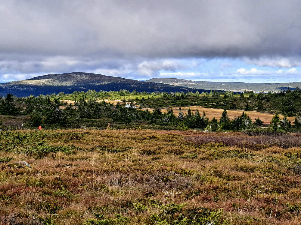 På Lunkefjell vest