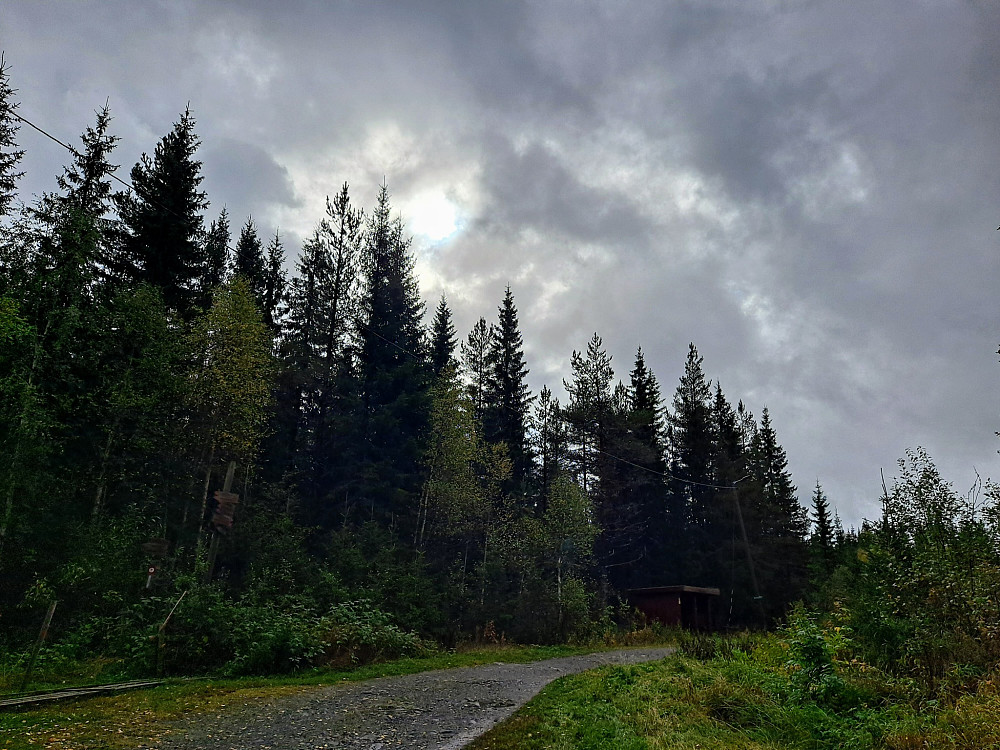 Ved Hammerkoia, gløtt av sol