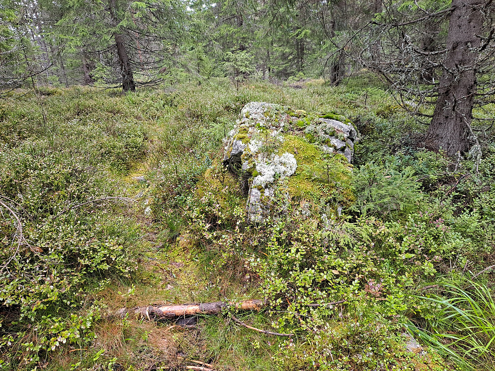 På Kanthaugen