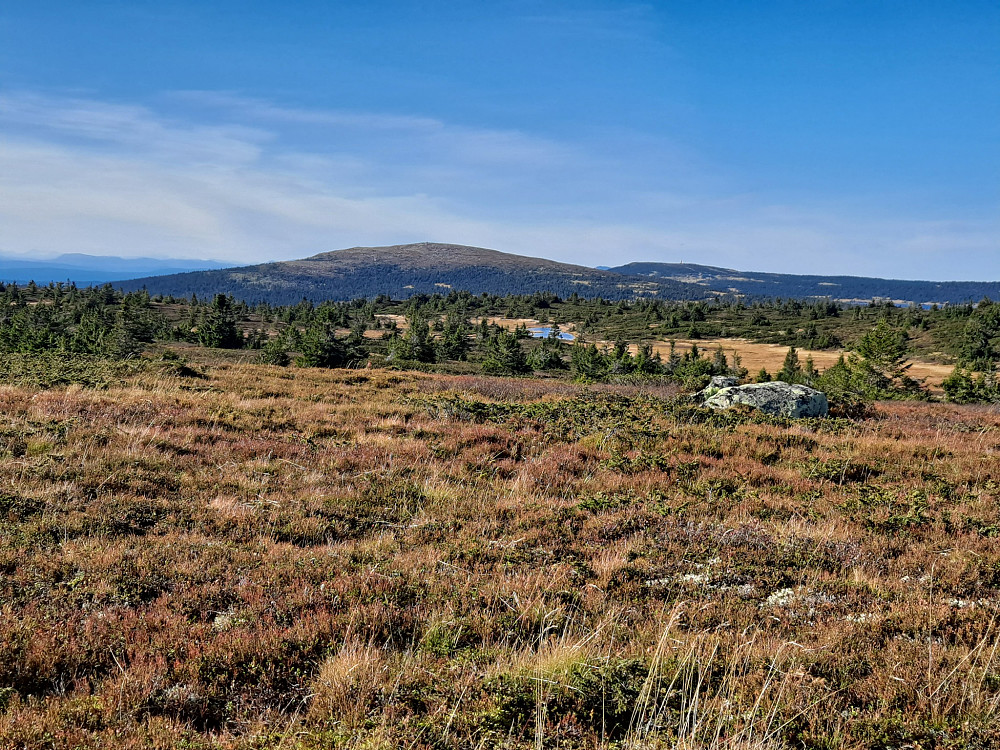 På Lunkefjell vest