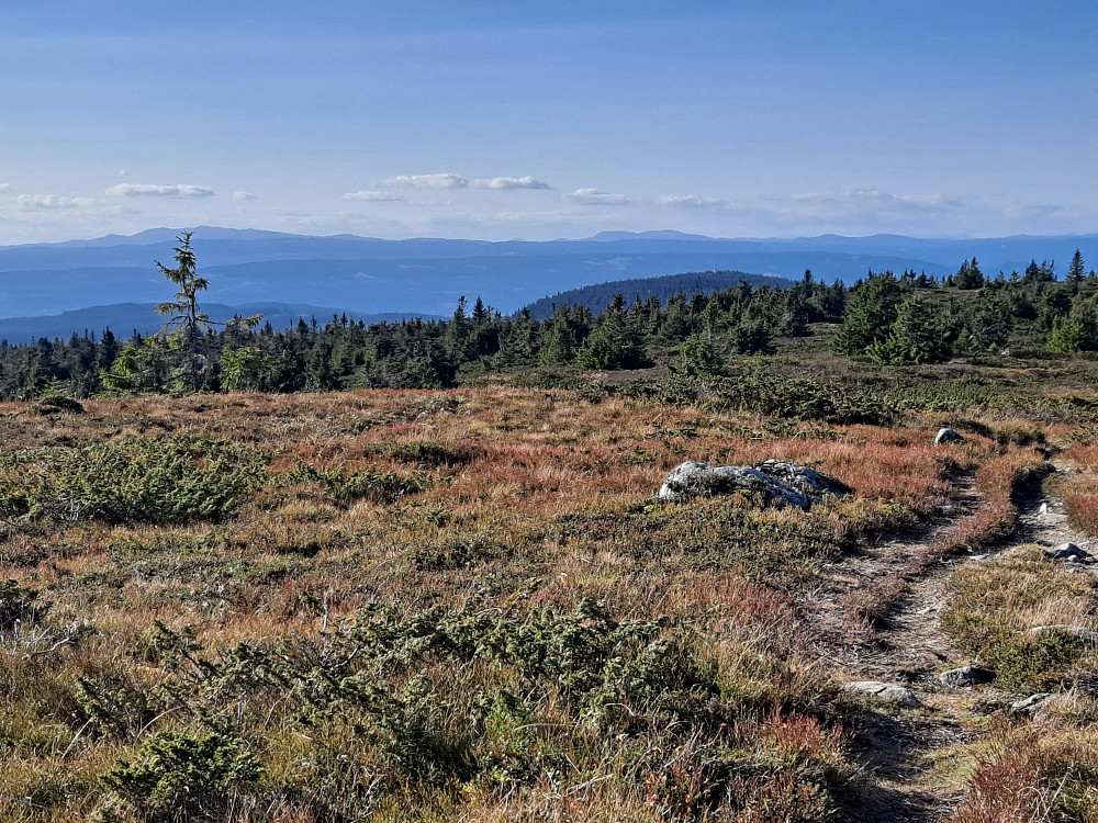 På Lunkefjell vest