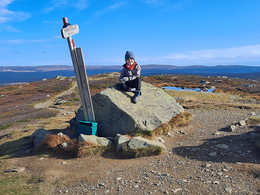 På Kriksfjell