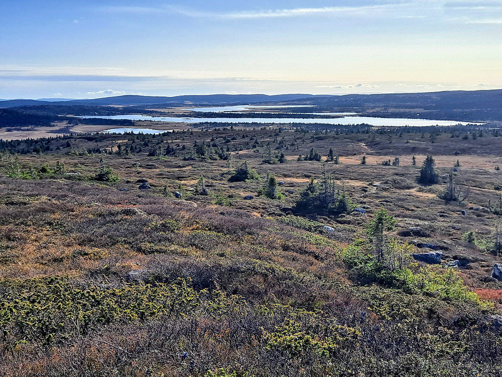 På Kriksfjell