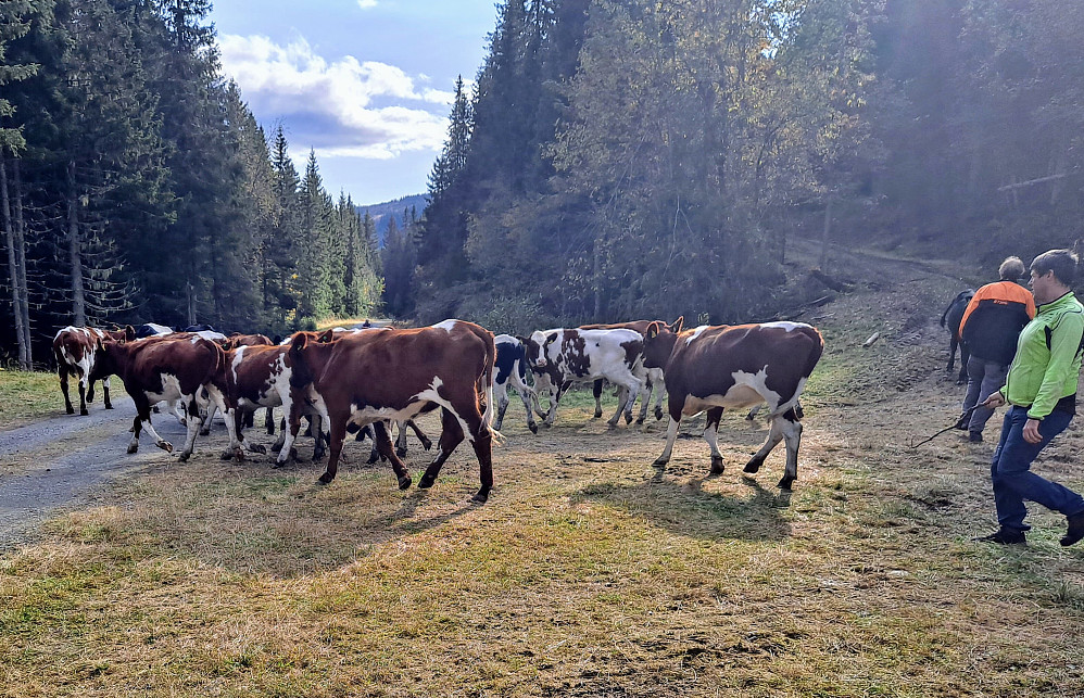 På Prestsletta