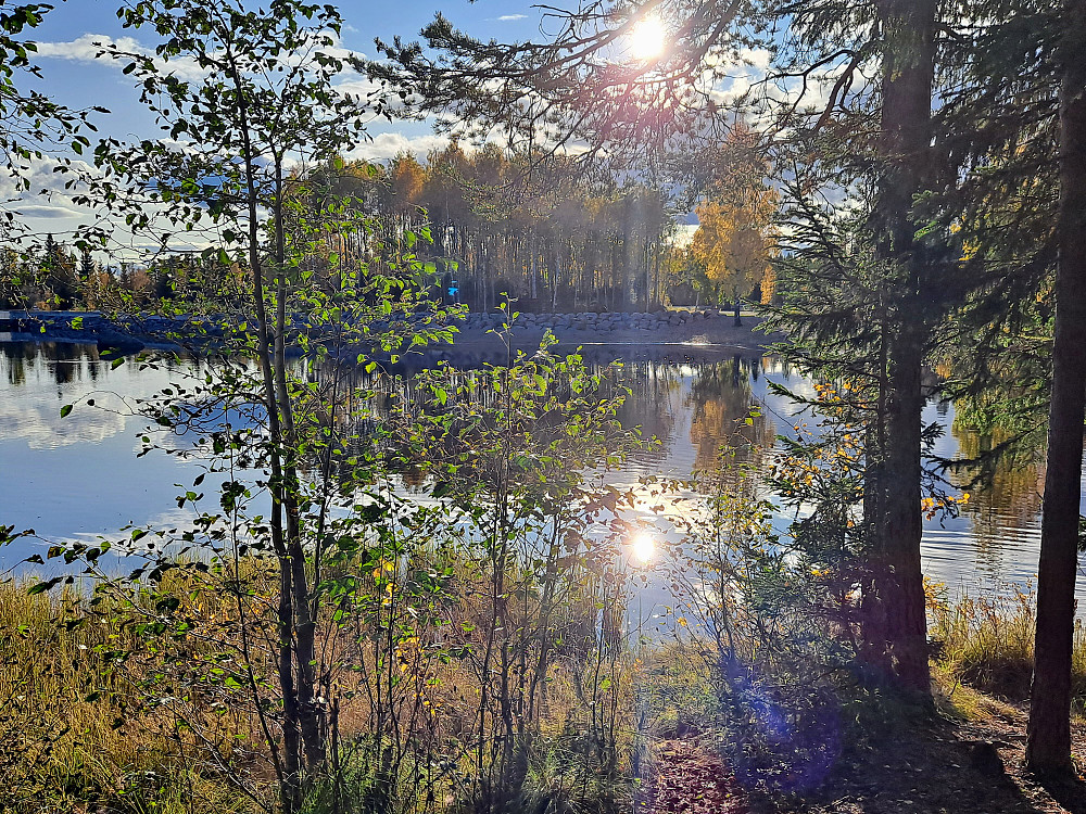 Tilbake fra Krokbua