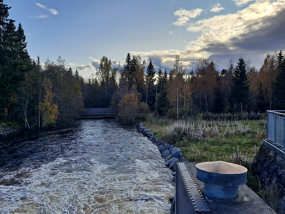 Mye vatn i Mesnaelva fortsatt