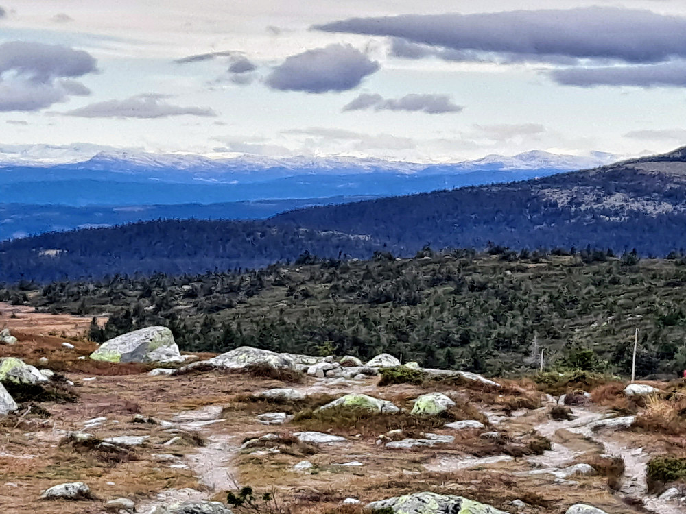 På Lunkefjell