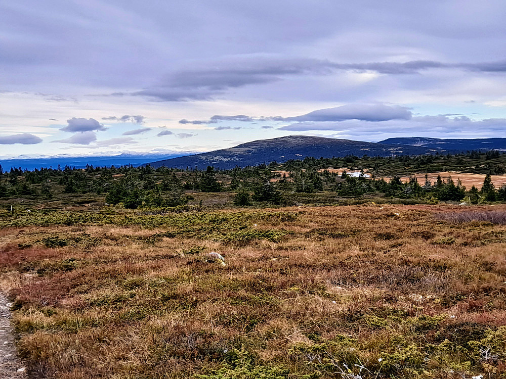 På Lunkefjell vest