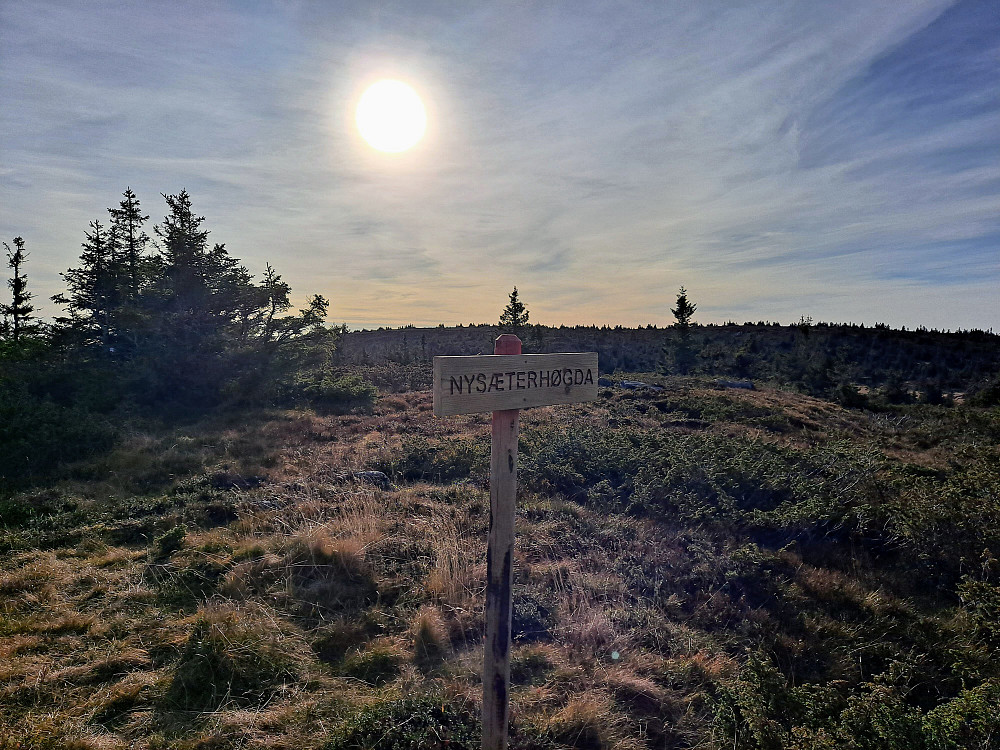 På Ytre Nysæterhøgda
