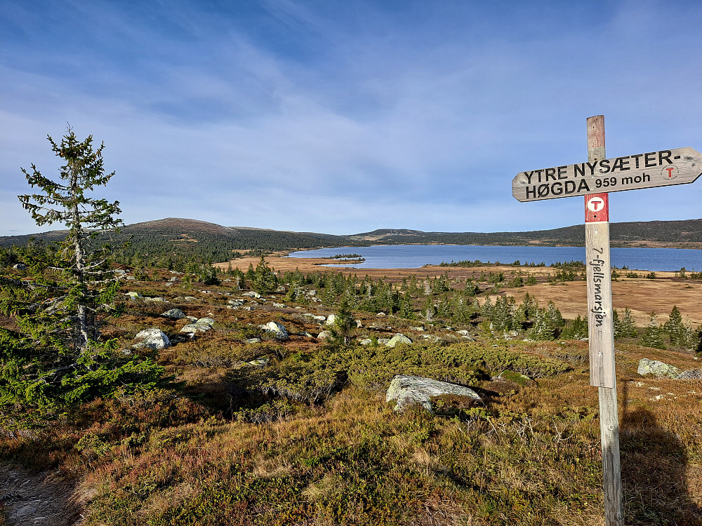 På Ytre Nysæterhøgda