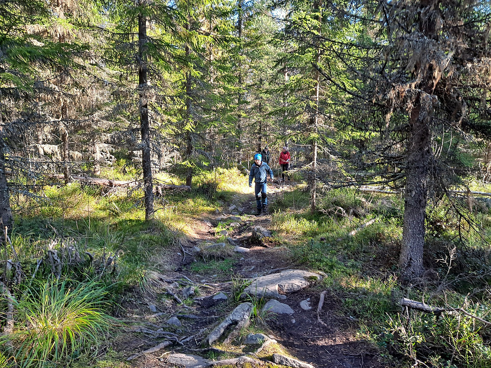 Marit, Helge og Arve i råket