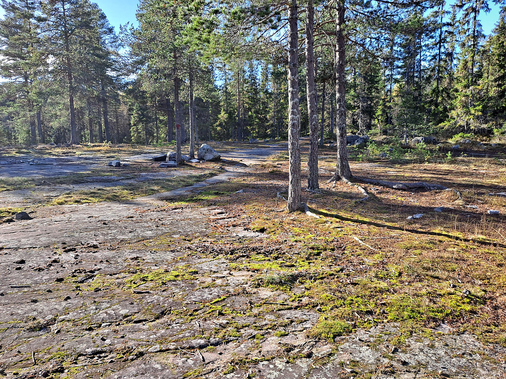 Danseberget