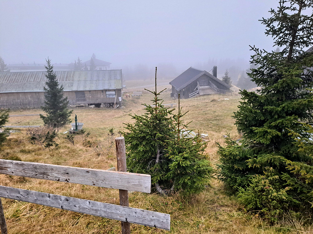 Gråvær ved Kaussetra