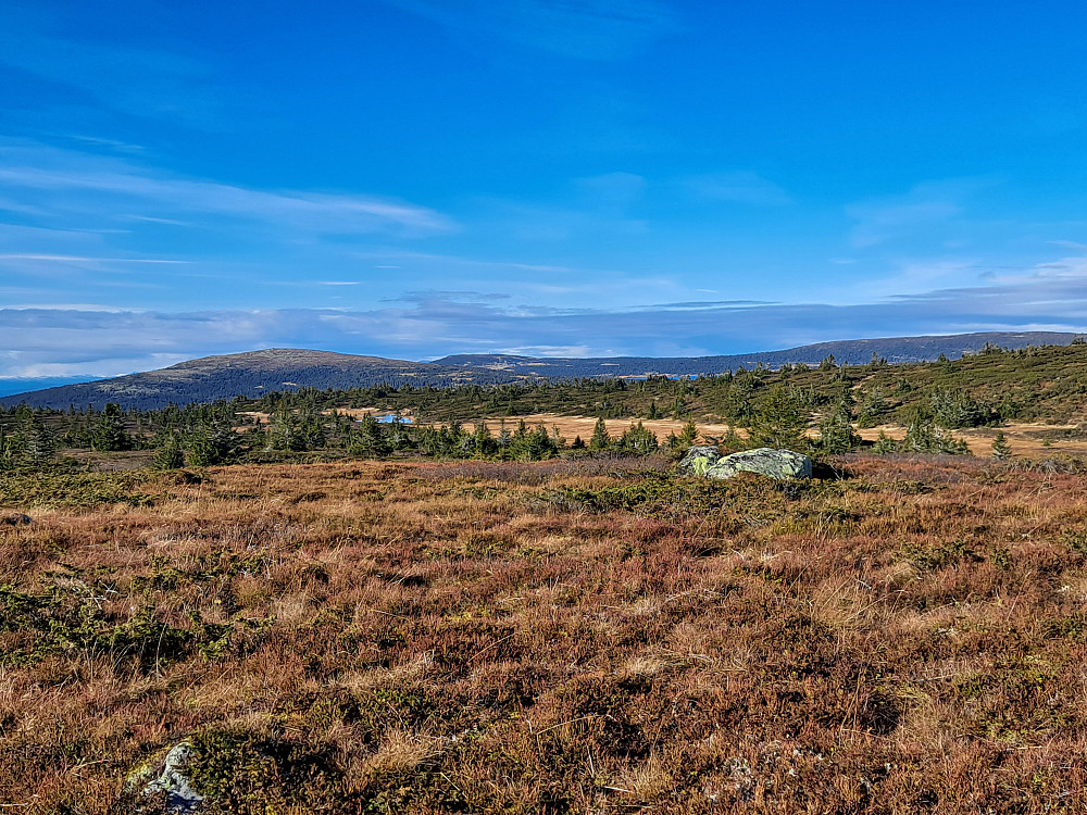 På Lunkefjell vest