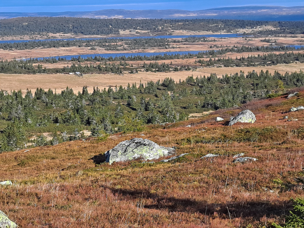 På Høgfjellet